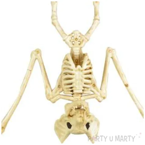 dekoracja szkielet nietoperza naturalny arpex