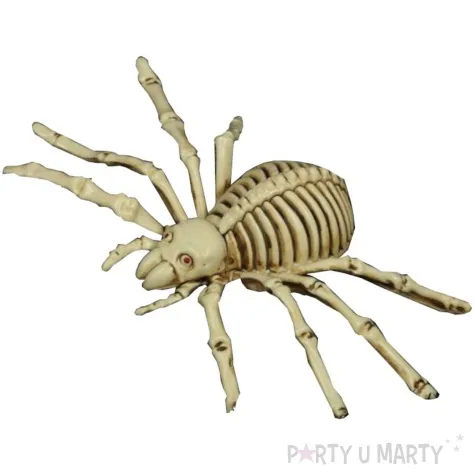 dekoracja szkielet pajaka guirca 24 cm