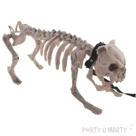 dekoracja szkielet psa buldog funnyfashion 43 cm