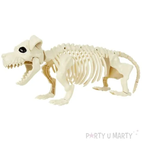 dekoracja szkielet psa smiffys 55 cm