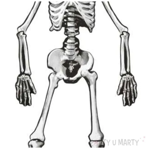 dekoracja szkielet ruchomy widmann 134 cm