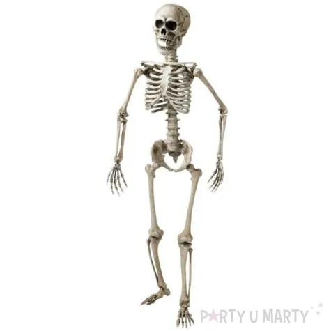 dekoracja szkielet widmann 160 cm