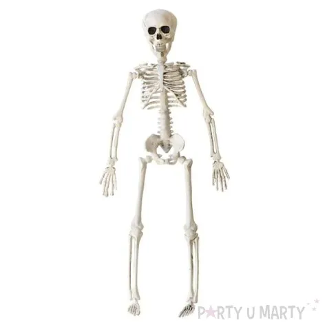 dekoracja szkielet widmann 40 cm