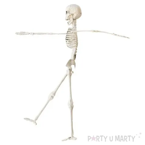dekoracja szkielet widmann 40 cm