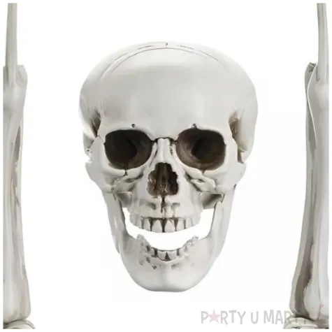 dekoracja szkieletor kostek partydeco