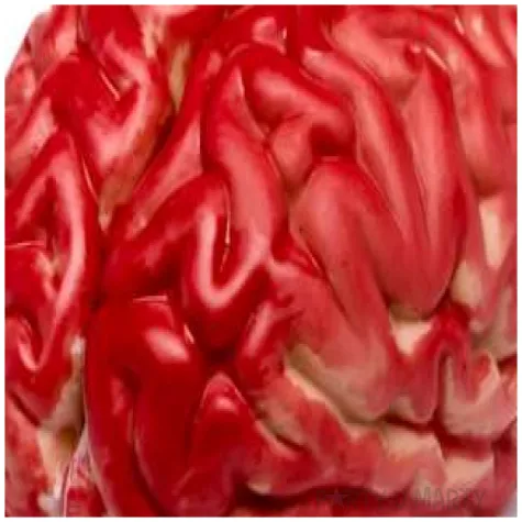 dekoracja sztuczny mozg gadgetmaster