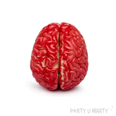 dekoracja sztuczny mozg gadgetmaster