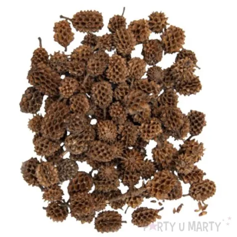 dekoracja szyszki jodlowe aliga 30g