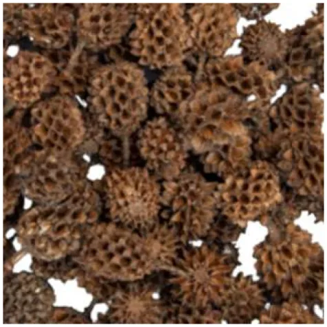 dekoracja szyszki jodlowe aliga 30g