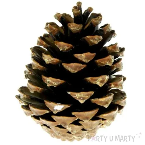 dekoracja szyszki pinus nigra aliga 4 szt