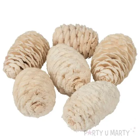 dekoracja szyszki sabulosum bielone kremowy czakos 6 szt