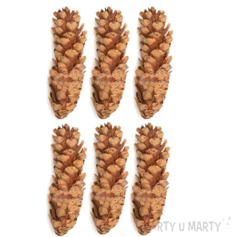 dekoracja szyszki sosna wejmutka aliga 6 szt