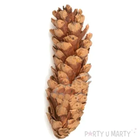 dekoracja szyszki sosna wejmutka aliga 6 szt