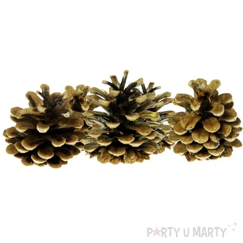dekoracja szyszki sosnowe aliga 20 szt