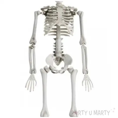 dekoracja wiszaca kosciotrup partydeco 40 cm