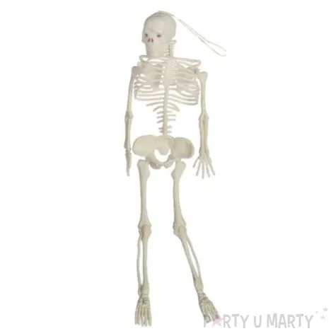 dekoracja wiszaca szkielet bialy 33 cm