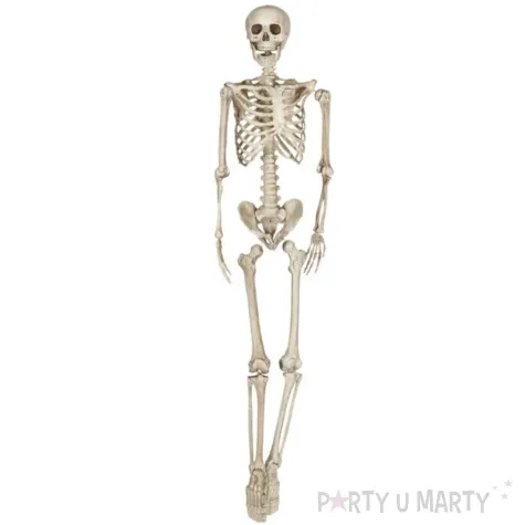 dekoracja wiszaca szkielet kremowy guirca 160 cm