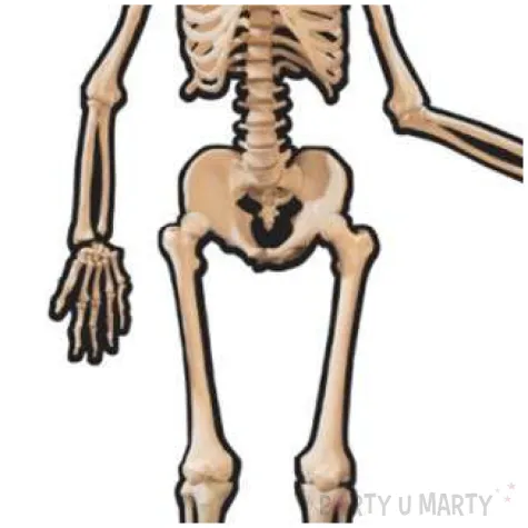 dekoracja wiszaca szkielet papierowy amscan 135 cm