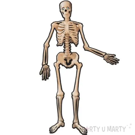 dekoracja wiszaca szkielet papierowy amscan 135 cm