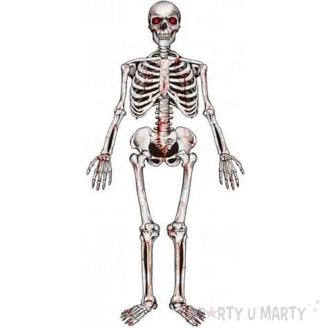 dekoracja wiszaca szkieletor godan 135 cm