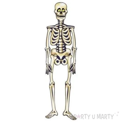 dekoracja wiszacy szkielet 85 cm