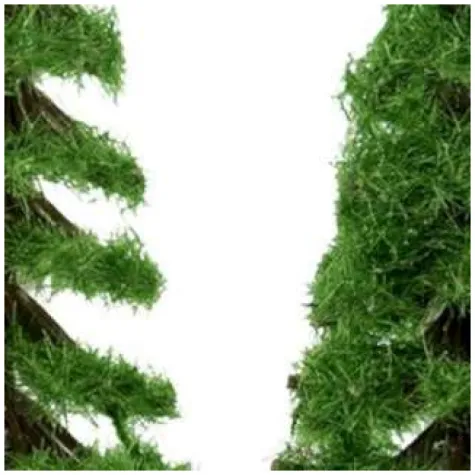 dekoracja zielone sosenki titanum 6 5 cm 2 szt