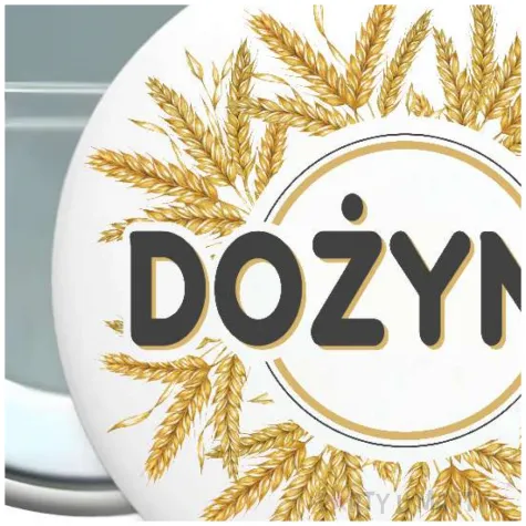 dodatek do stroju na dozynki gminne metalowa przypinka klosy zboza pin zniwa