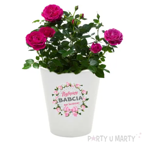 doniczka dzien babci najlepsza babcia na swiecie bialy 10 cm