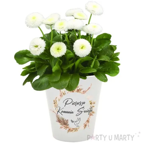 doniczka komunia swieta boho bialy 10 cm