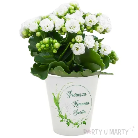 doniczka komunia swieta konwalie bialy 10 cm