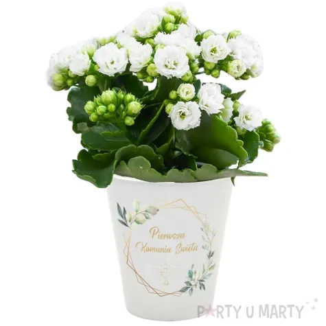 doniczka komunia swieta mietowa geometria bialy 10 cm