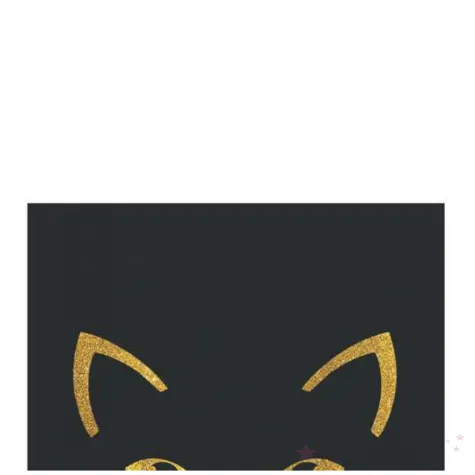 etykieta na butelke halloween czarownica i kot czarny congee 9 x 12 cm 9 szt