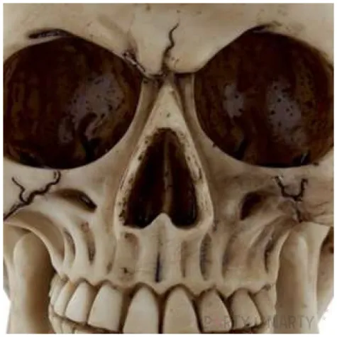 figurka czaszka steampunk puckator 15 x 11 cm