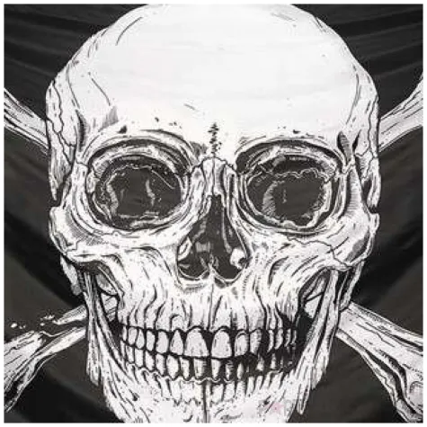 flaga piracka czaszka xxl boland 200 x 330 cm