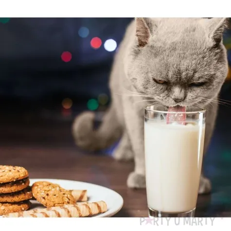 foremka halloween kot filemon 75x84 mm czarny