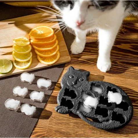 foremka na lod kotki czarny gadgetmaster