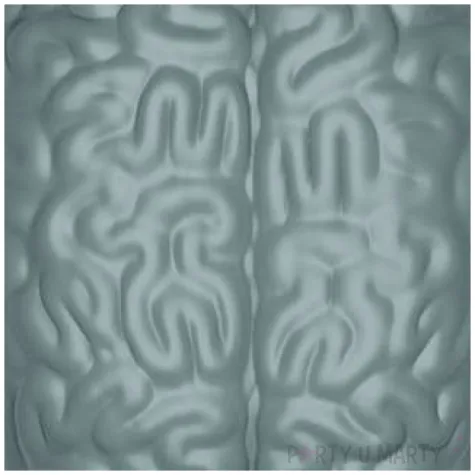 foremka na lod mozg szara amscan