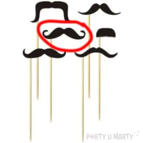 fotogadzet patyczki wasy