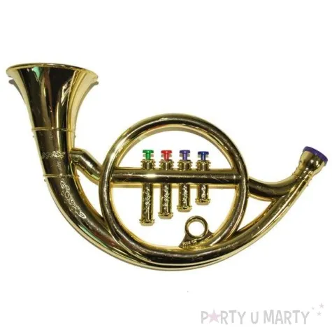 instrument rog mini zloty funnyfashion