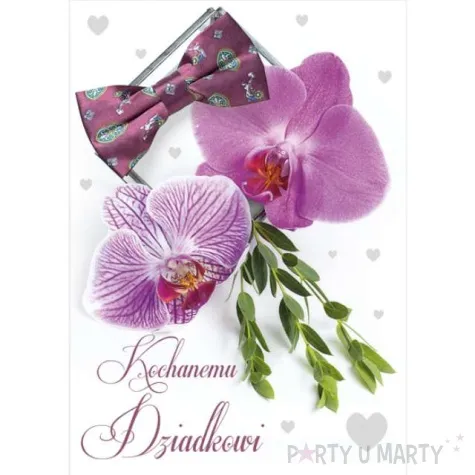 kartka okolicznosciowa laurka dla dziadka z mucha maki b6