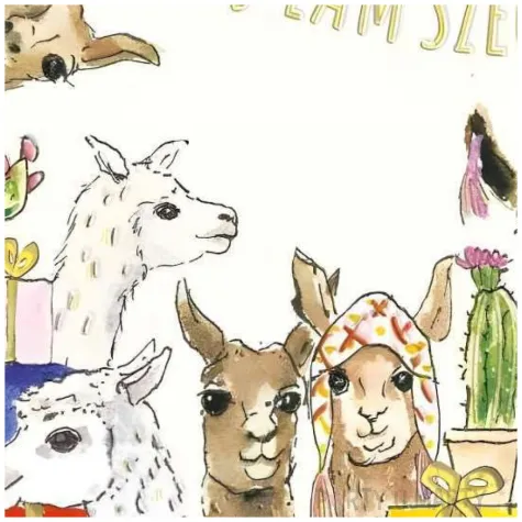 kartka okolicznosciowa urodziny lamy i kaktusy henry 15 x 15 cm