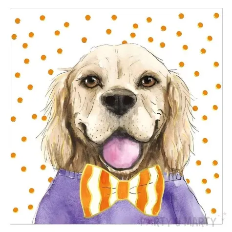 kartka okolicznosciowa urodziny pieski henry 15 x 15 cm