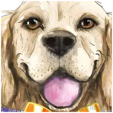 kartka okolicznosciowa urodziny pieski henry 15 x 15 cm