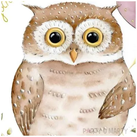 kartka okolicznosciowa urodziny sowa i balony henry 15 x 15 cm