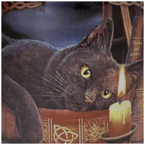 kominek ceramiczny do olejkow kot i swieca puckator