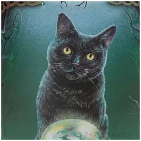 kominek ceramiczny do olejkow kot wiedzmy puckator