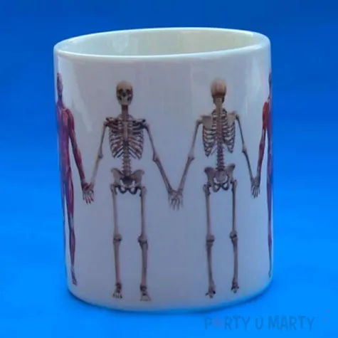 kubek anatomiczny
