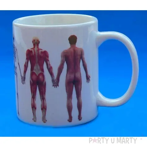 kubek anatomiczny