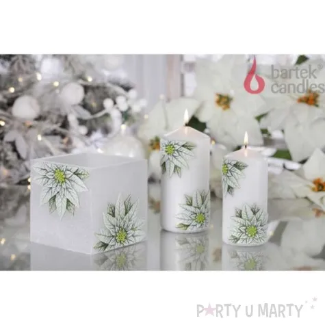 lampion christmas flower kwiaty poinsencji kostka bialy bartek candles 110 105 mm