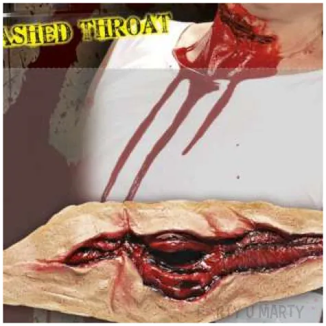 make up party rana poderzniete gardlo widmann